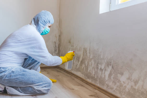Crawl Space Mold Remediation treatment of floor joists in Newport